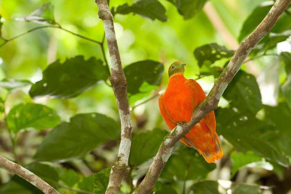 Taveuni Palms Resort Matei Zewnętrze zdjęcie